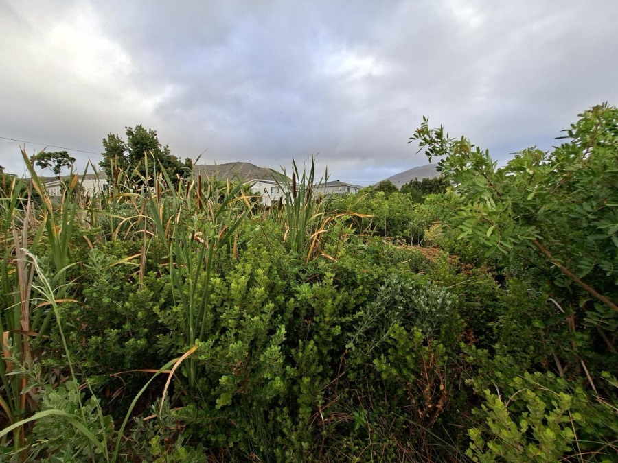 0 Bedroom Property for Sale in Pringle Bay Western Cape